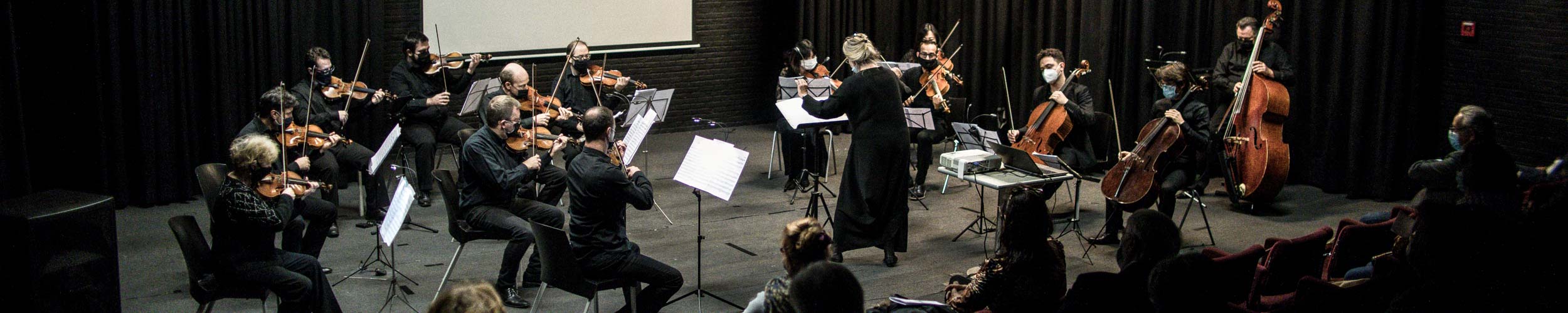 Orchestre de chambre I Musici Bucellensis