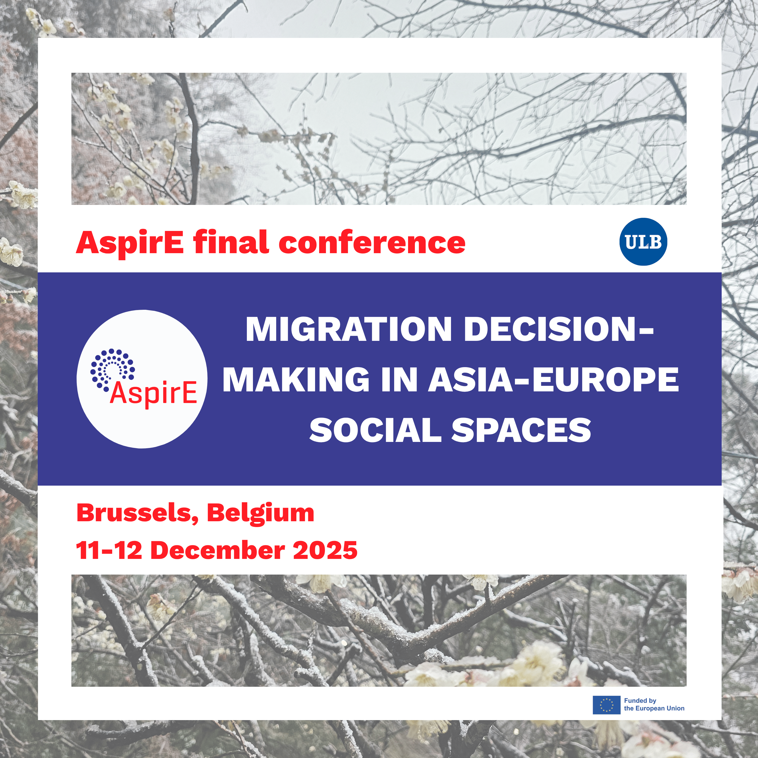 AspirE final conference vignette